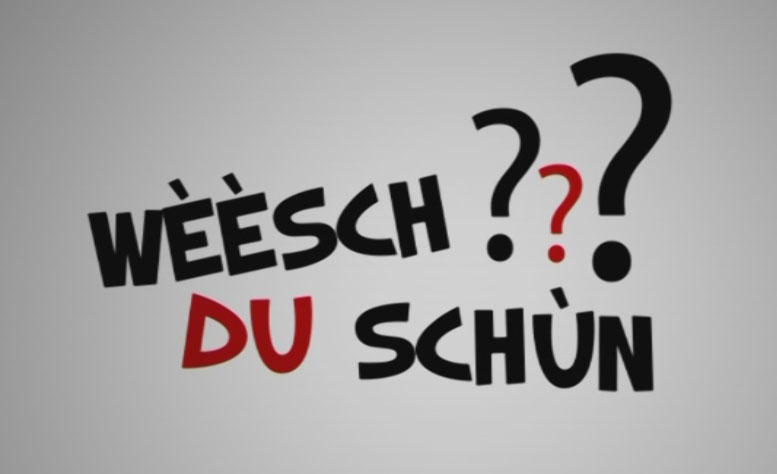 Platt à la télévision Platt à la télévision